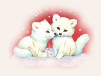 La Saint-Valentin